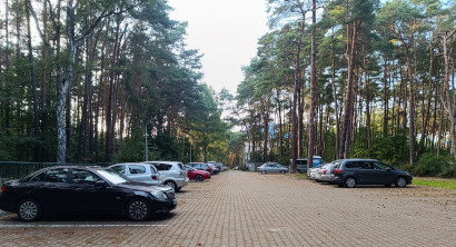 Parking z białymi liniami i zielonymi drzewami w tle, z samochodami zaparkowanymi wzdłuż linii, tworzącymi schludny i uporządkowany wygląd
